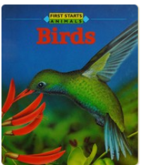 Birds (First Starts)