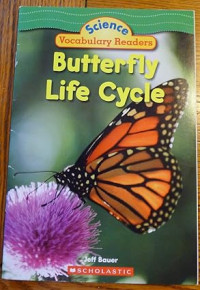 Butterfly Life Cycle