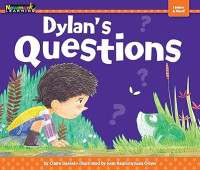 Image of Dylan's Questions