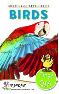 First Q A Birds