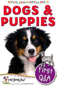 First Q A Dogs Puppies