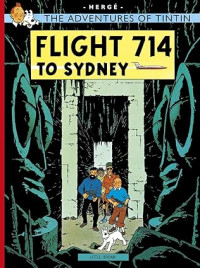 Image of Flight 714 (The Adventures of Tintin)