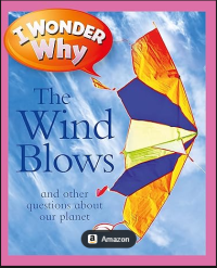 Image of I Wonder Why The Wind Blows