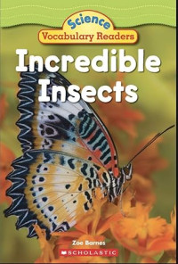 Image of Science Vocabulary Readers: Incredible Insects