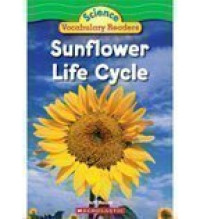 Image of Sunflower Life Cycle