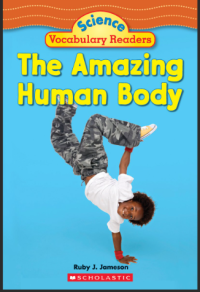 Image of The Amazing Human Body