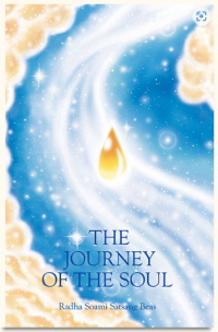 Image of The Journey of the Soul